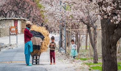 Hunza Cherry Blossom Tour — 3