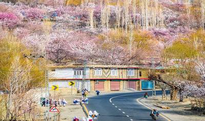 Hunza Cherry Blossom Tour — 5