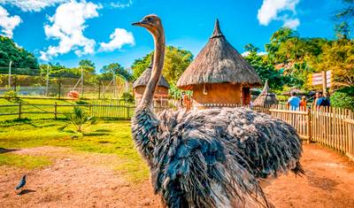 Customized 6 Days Private Mauritius Tour with 5-star Hotels, Daily Start — 2