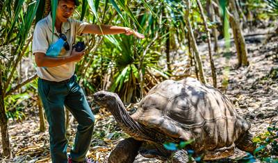 Odkryj Ojczyznę Nieba – Spersonalizowana Prywatna Wycieczka po Mauritiusie z Hotelem 5-gwiazdkowym — 4