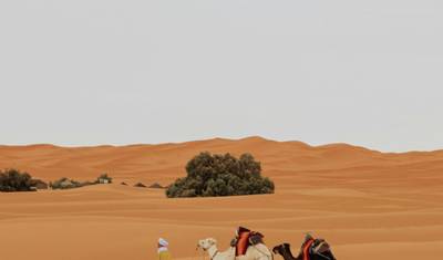 Erg Chegaga Desert Tour from Marrakesh (5 Days) — 3