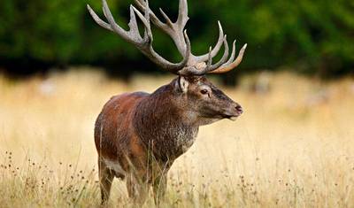 Denmark Scenic Multi-Activity Self-Drive Private Tour - 9 Days — 4