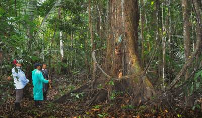 4 Days Agua Dulce Peruvian Amazon Experience — 5