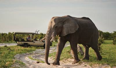 3-dniowe safari w Inverdoorn z Kapsztadu — 4
