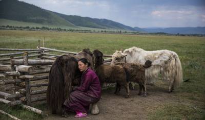 Central Mongolia — 2