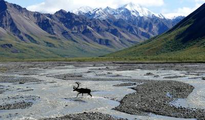 Alaska's Northern Lights with Iditarod — 2