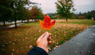 Newfoundland & Labrador 13 Days — 4