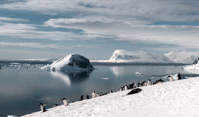 Christmas Season in Antarctica (Ocean Victory) — 5