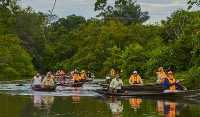 5-Day Low Water Season Amazon Cruise in Pacaya Samiria — 5