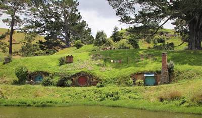8-Day Auckland & North Island Discovery: Nature, Culture & Adventure Experience — 4