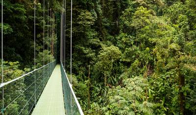 Wonders of Costa Rica: Arenal, Monteverde & 5 Star All Inc Papagayo Retreat — 5