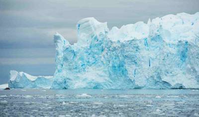Viagem de 12 Dias à Antártica de Buenos Aires à Península — 5
