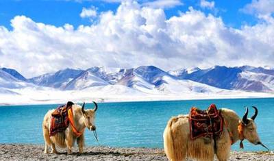 Golden Triangle with Leh & Ladakh Adventure Trails By G Experiences — 2
