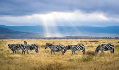 Exclusive Luxury Tanzania Safaris: Tailor-Made Private Serengeti & Ngorongoro Experience — 4