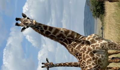 Return to the Wild: Kenya Safari Wellness Retreat — 4