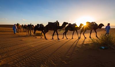 Expedição de 5 Dias em Marrocos: de Marraquexe ao Deserto do Saara e Montanhas Atlas — 2