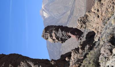 Tenerife Mágica com Crianças — 5