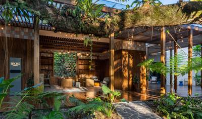 4-Day Botanika Osa Rainforest Experience — 4