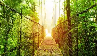 أساسيات Arenal و Monteverde لمدة 4 أيام — 5