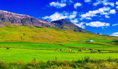 Customized 7-Day Iceland Tour to West & South Coast, Private Guide — 2