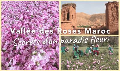 12 DNI PRZEZ MAROKO: PUSTYNIA SAHARA; NIEBIESKIE MIASTO; MIASTA IMPERIALNE — 5