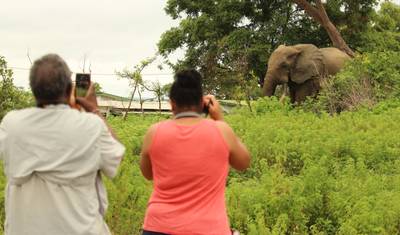 Safari e Tour Cultural no Norte de Gana (4 Dias / 3 Noites) Incluindo Voo de Ida e Volta — 2