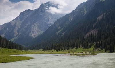 Adventure in Kyrgyzstan — 4