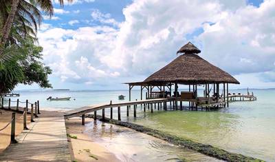 Paradise in Panama Wellness Retreat (Women-Only) — 4