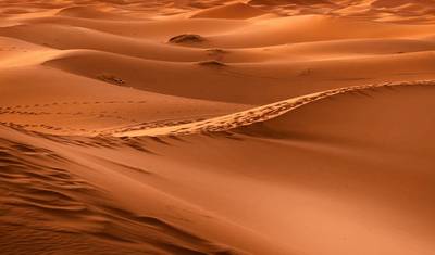 15-Day Morocco Grand Tour — 2