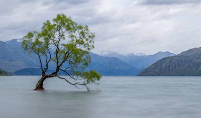 8 Days Queenstown to Wanaka by Bus: Glaciers, Skydives & Alpine Adventures — 5