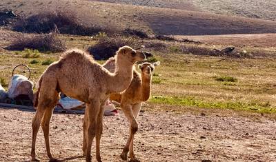 Wycieczki po Maroku 9 dni Wycieczki — start i koniec w Marrakeszu — 2