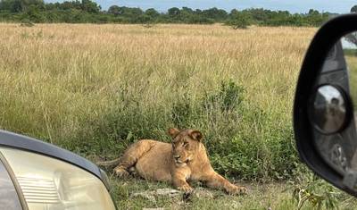 3-Day Nature Wonder in Queen Elizabeth National Park — 3
