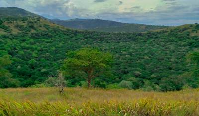 3-Day Nature Wonder in Queen Elizabeth National Park — 4