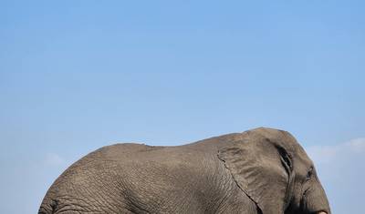 3-Day Nature Wonder in Queen Elizabeth National Park — 5