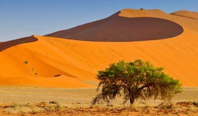 Safári na África Austral (27 destinos) — 4