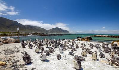The Classic Garden Route — 3