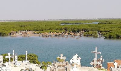 SENEGAMBIA INCLUDING CASAMANCE - 12 DAYS — 5