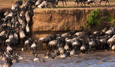 Ekspedycja: Safari i Plaża – 12 Dni Kenia, Tanzania i Zanzibar — 2