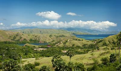 Private: Day Trip Komodo from Labuan Bajo Airport — 4
