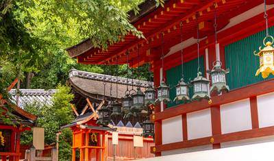 日本8日間パッケージ：東京、富士山、京都、奈良、大阪 — 3