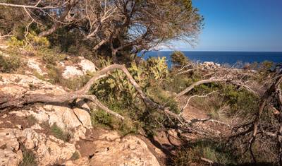 Mallorca Differently: 5 Days of Absolute Freedom — 4
