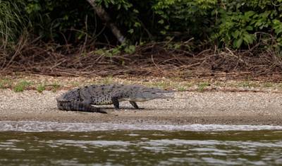 Best of Panama: City, Rainforest & Beach Experience — 4