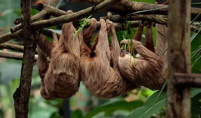 Best of Panama: City, Rainforest & Beach Experience — 5