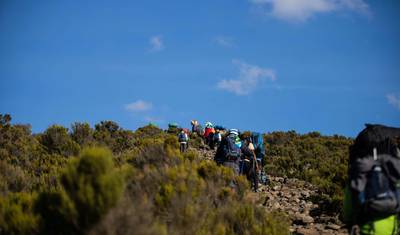 8日間 レモショ・ルート キリマンジャロ登山 | タンザニア最高の景観トレッキングツアー | Africantrust Safari — 3