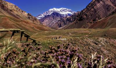 Mendoza: Najlepsze Wina w Andach — 5