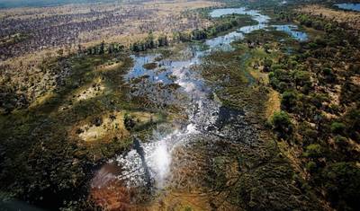 Delta e Cataratas para o Oeste: Maravilhas Naturais e Vida Selvagem — 2
