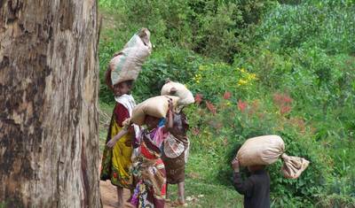 Caminhada para Mtae Usambara — 4