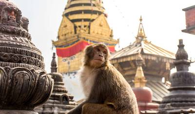 Przygoda w Indiach i Nepalu — 5