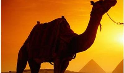 Wonders of the Pharaohs — 3