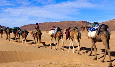 عيد الميلاد في المغرب - 8 أيام — 5